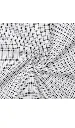 1000073585.webp