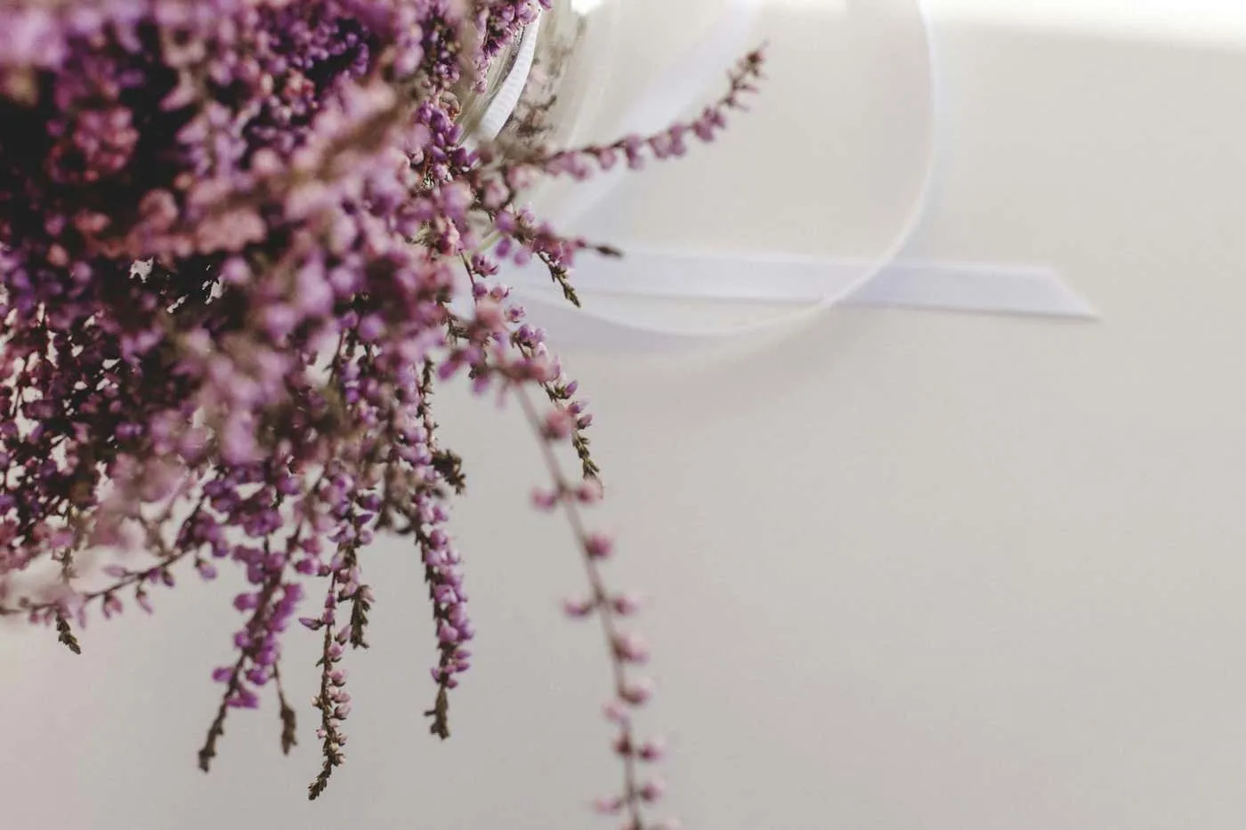 beautiful flower decoration background